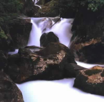 纯似牛奶面山泉